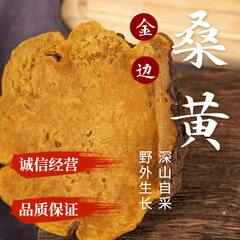 東北特産長白山野生金辺桑樹桑黄霊芝無料カット深山自採漢方薬材卸売り