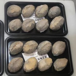 0efd16f0ff32cf89a1888598ea7cc3