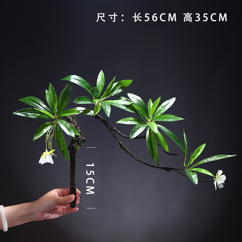 스몰 사이즈 워터스톤 피쿠스-모양 1