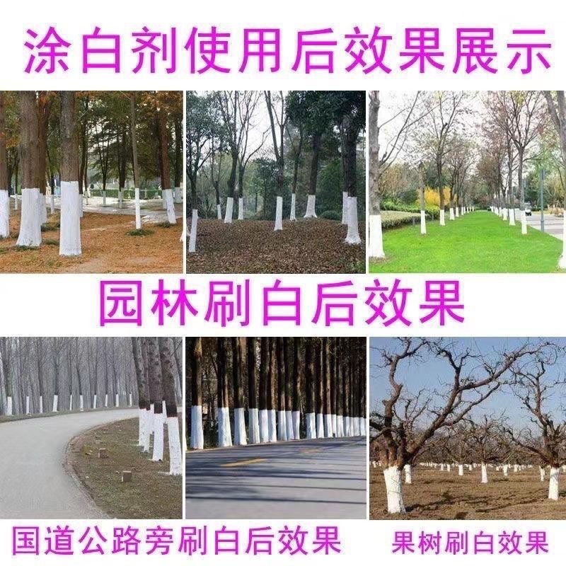 树干树木涂白剂涂白粉果树园林绿化刷白剂防虫防冻抗寒园林养护|undefined