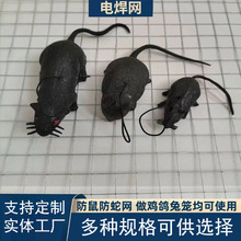 ���a��\���⠝Ĩ�ұ����F�z�W�̨����늺��W�����߻\�Bֳ䓽z�W