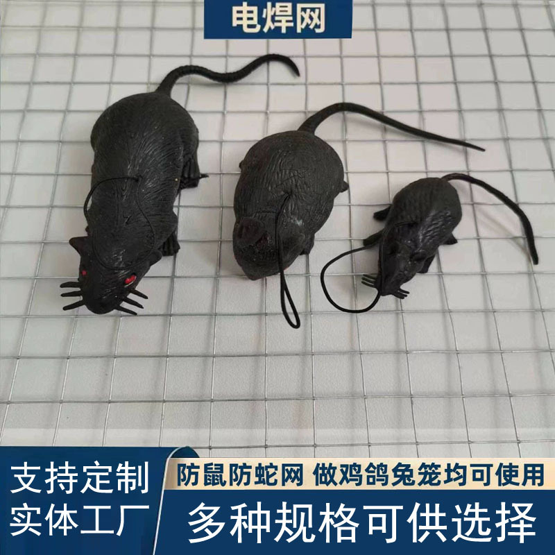 生产镀锌内外墙抹灰保温铁丝网阳台防坠电焊网防鼠蛇笼养殖钢丝网