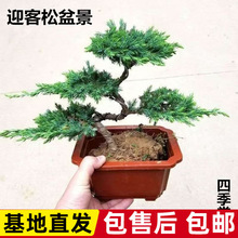 �����辰ӭ���������辰�ļ����������ɰصذ��҃��辰�k�����辰
