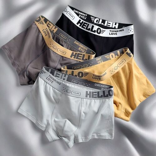 Fashion Underwear 2024 New Men's Antibacterial Letter Comfort Straight Leg Pant Youth Cotton Simple Four-Point Underwear