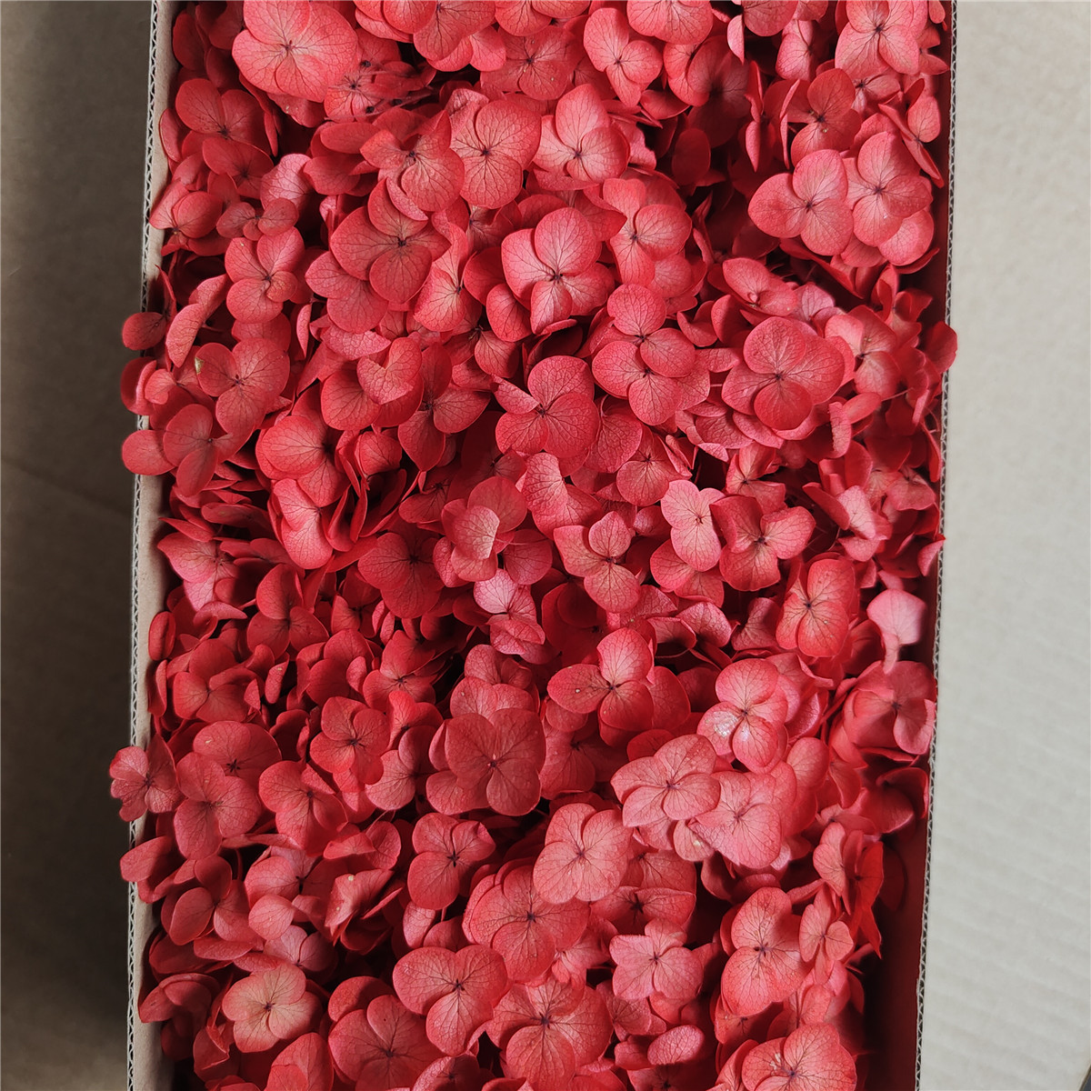 Flor eterna Hortensia Anna pequeña hoja flor seca flor real árbol de Navidad ventilador hecho a mano ramo DIY material paquete flor