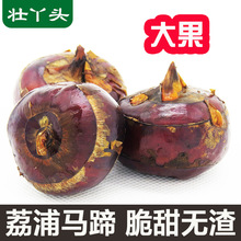 �V�������R��ݩ�j���r�F�ڵ����������r���ԷN�������rˮ����ʳ