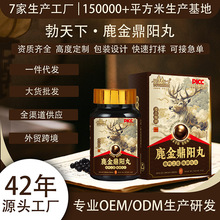 鹿金鼎阳丸 鹿血片鹿鞭丸海参肽片牡蛎肽饮海狗水蜜丸鹿尾肽膏滋