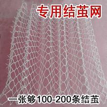 蚕宝宝吐丝结茧网养蚕结茧上簇网重复利用养蚕工具结200个茧