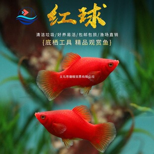 ���N�tƤ��t̫������~С�͟Ꭷ�^�p�~�~��̥���~�~�׻��wС�~