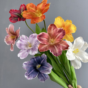 ��c���滨��������ٻ��������{��ɫ��Y�����������_��������