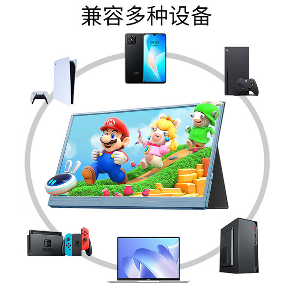 Handheld LCD display