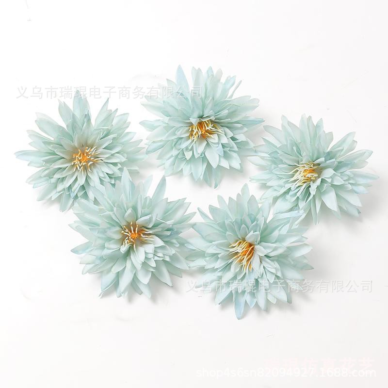 게 발톱 국화