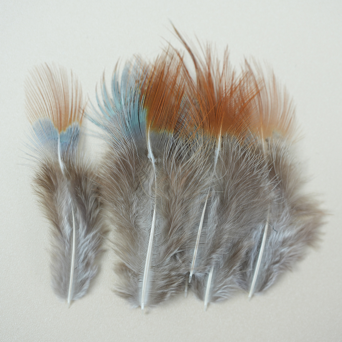 Plumas pequeñas al por mayor de plumas de faislo natural decorativas plumas artesanías bricolaje materiales hechos a mano divertidos accesorios de joyería de palo de gato