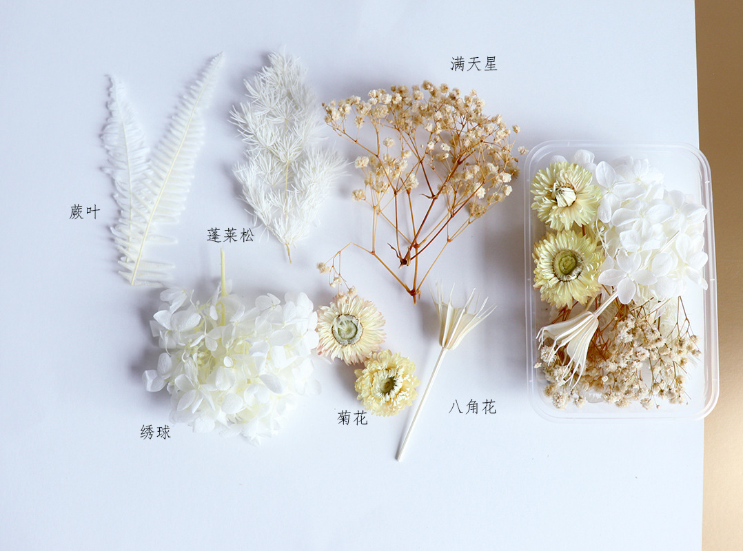 Floating Flower Dried Flower Eternal Flower DIY Epoxy Aromatherapy Candle Photo Frame Kindergarten Handmade A5 Pressure Embossing Material Package