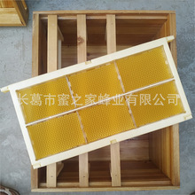 【配加厚透明巢蜜盒】500g塑料巢蜜框 蜜蜂巢蜜格架全套餐 中意蜂