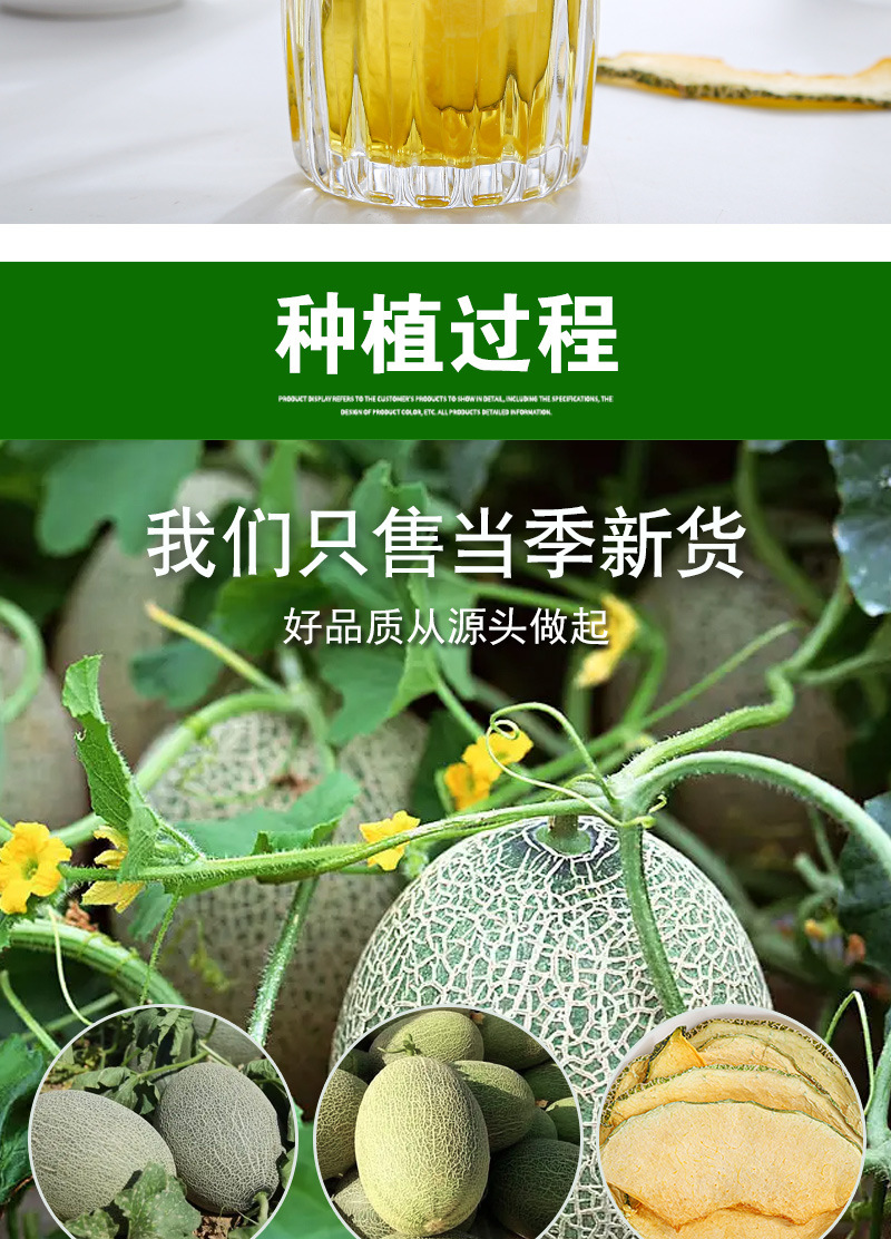 Hami Melon Slices (Cucumis melo var. saccharinus) — Dried Fruit Tea & Cold-Brew Infusion in use