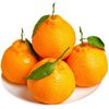 goods in stock Sichuan Province Large fruit fruit fresh pregnant woman fruit Orange One piece On behalf of