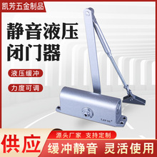 现货供应 蓝雨牌静音液压闭门器  防火闭门器 液压缓冲闭门器