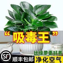 �������ֲ���K��荾G�}�jˮ����~�Gֲ�����k���҃ȑ��˺��B����