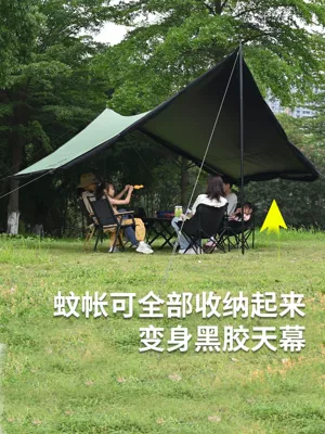 Full Shading and Sun Protection, Avtomobil yan çətirləri