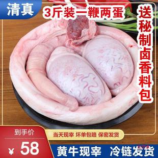 ������\ݔ ���ܰl؛���������rţ����ֻȫ��ţ������ţ��ţ��