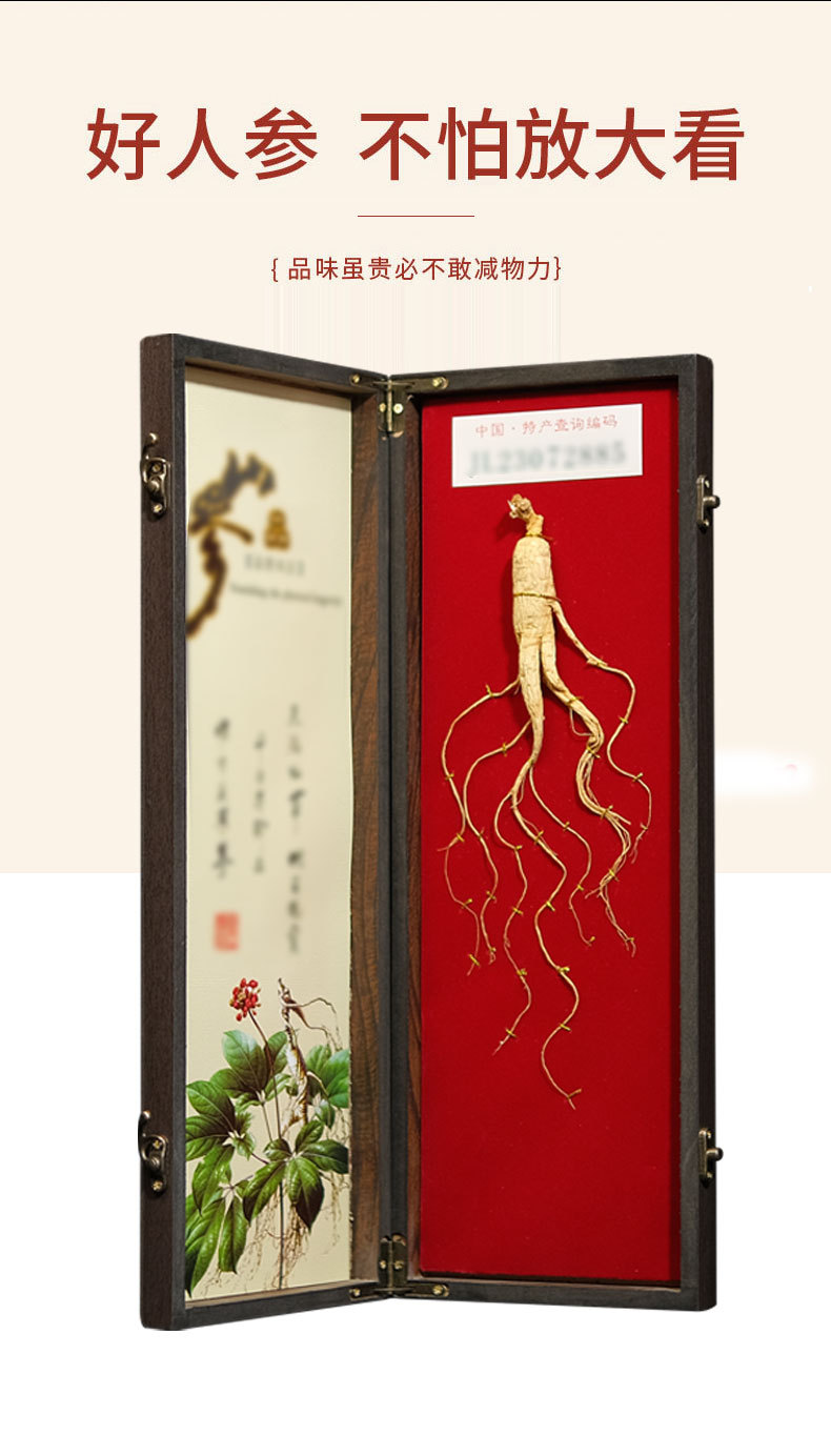 Changbai Mountain Wild Ginseng Gift Box Whole Root 50g Traditional Herbal Gift for Elders quality and texture