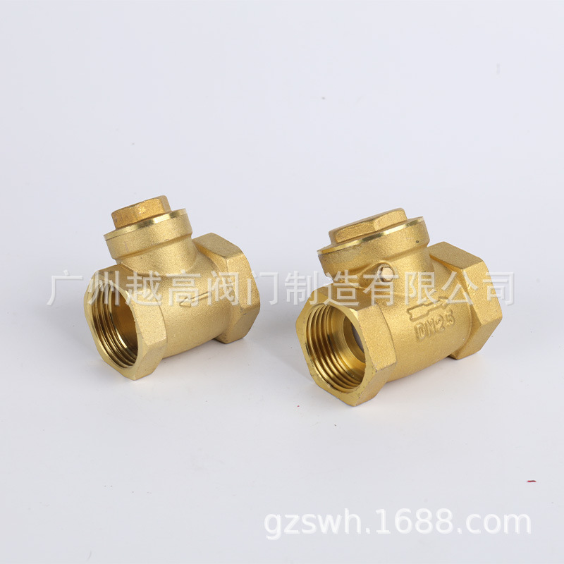 黄铜止回阀6