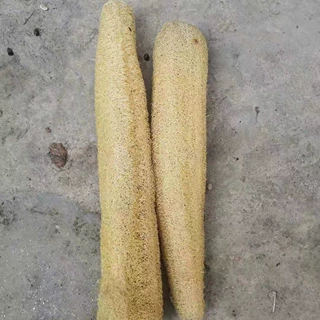 直径6cm小条丝瓜抹布瓤布老络洗碗巾刷锅布天然不沾油清洁不掉毛