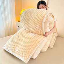 2025皇朝家私双面绒被子牛奶加厚保暖宿舍单人冬季棉被加绒羊加绒