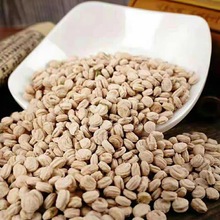 ˅NLɽҰɽN󅢷Nļ̨Բ׳ɻN