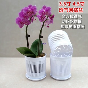 3.5������m����ظ��W��͸�������m����ʯ�����ԷNֲ������