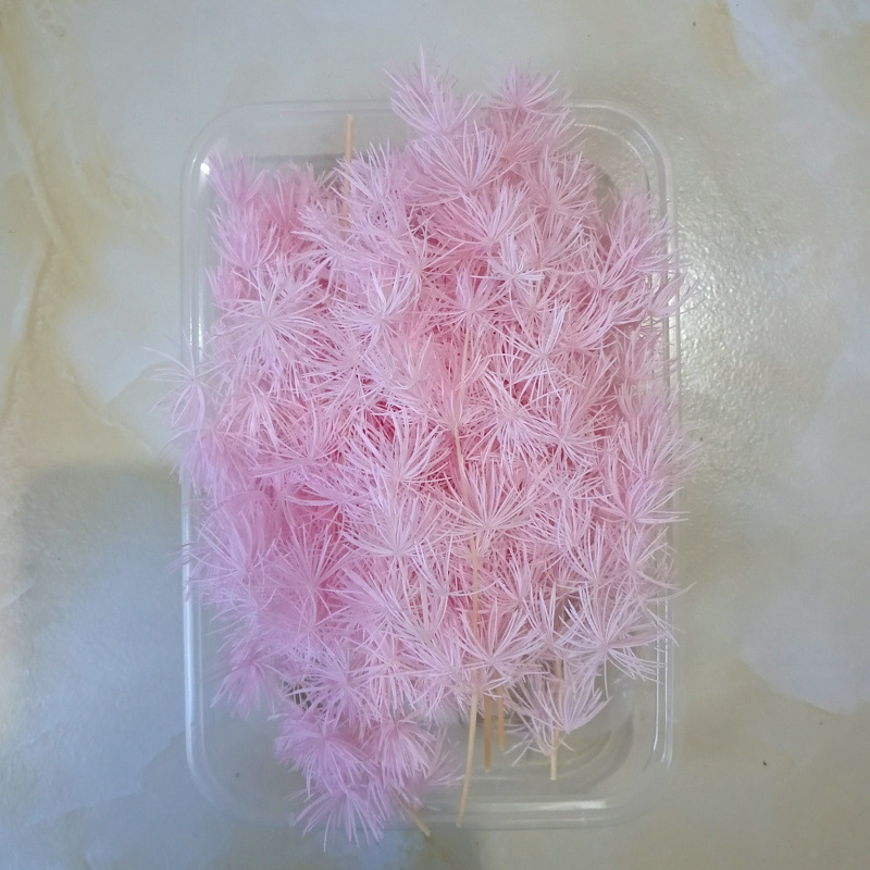 라이트핑크 소재봉지 봉래소나무 15g-드라이플라워봉지