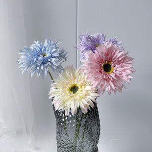 �����֦���z���޾� �Ҿ��b����ɫ���ʾտ羳���l��c�û�