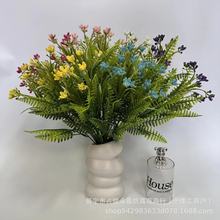 l{L⏼ٻҾӻcb޾GֲSӹz