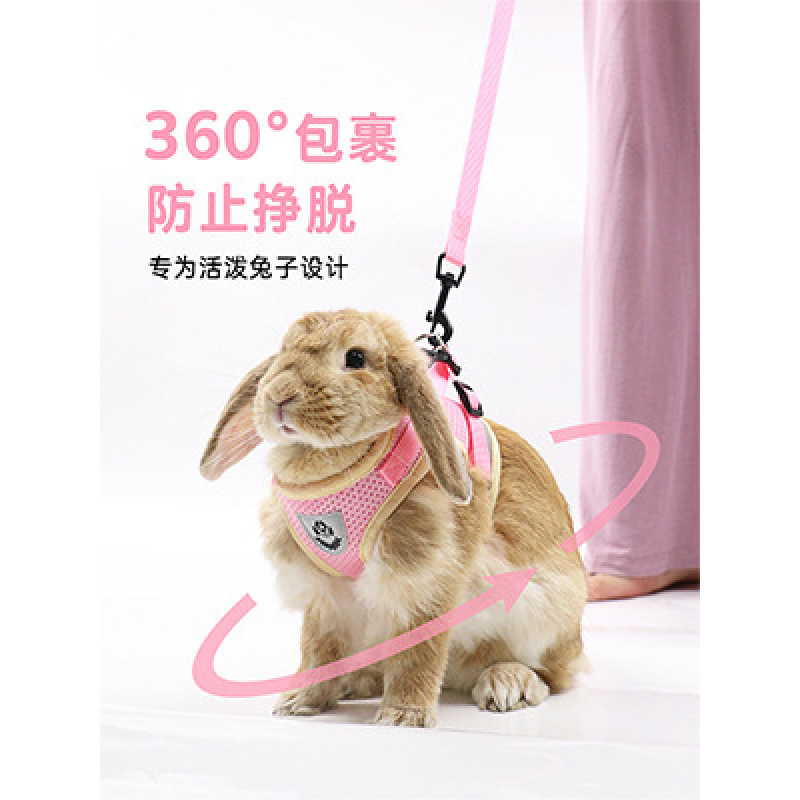 兔子牵引绳遛兔绳子防挣脱专用背心牵兔绳可调节侏儒外出一体式