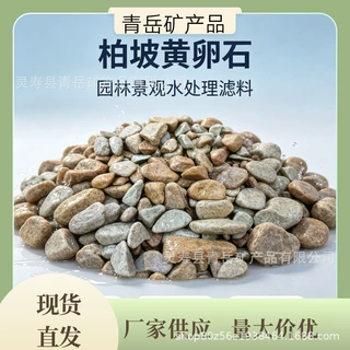 柏坡黄卵石黄色砾石园林铺装花园造景工程铺路庭院装饰山水造景