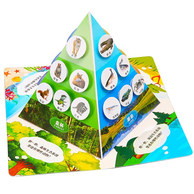 Fuente de fabricación de niños de la ciencia y la tecnología de los estudiantes de primaria pequeños experimentos pequeños inventos kits de materiales de ayuda didáctica