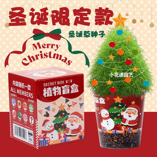 �}�Q�Y��ֲ��ä������С���Ԅ��⹝�Ճ�ͯ�Gֲ�N��ä���������l