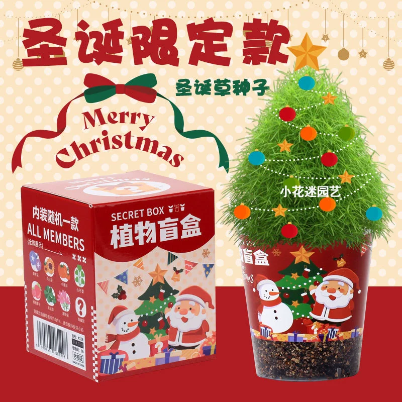 Подарок на выпускной, глухая коробка для растений, рабочий стол, маленькая креативная праздничная детская зеленая глухая коробка с семенами растений в горшках, оптовая продажа