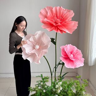 EVA��ĭ���������b���������̈��b�ˇ���ͷ���󼈻�