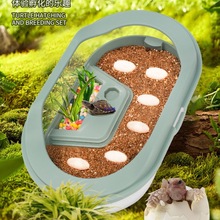 乌龟孵化箱仓套装乌龟蛋可孵化活物适合养的小宠物家养易存活儿童