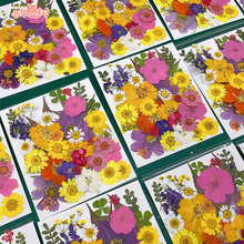 ͯYȻֲɻdiyϘ~ֹzN˱ܷ