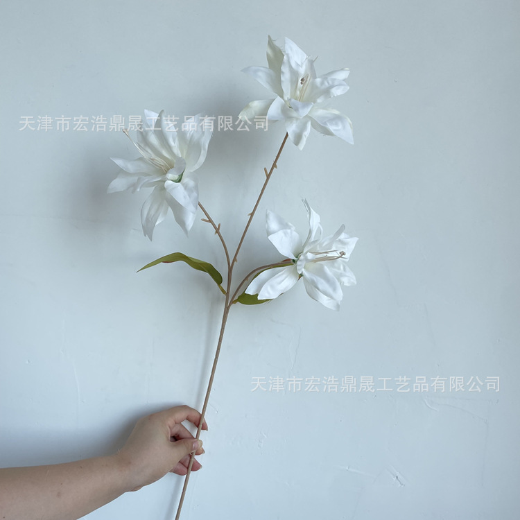 微信图片_202208111655477_副本