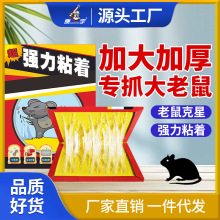 康宇粘鼠板家用强力老鼠胶捕鼠器大老鼠克星抓老鼠贴批发