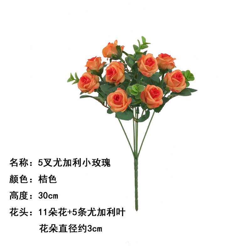 5 포크 유칼립투스 리틀 로즈 오렌지