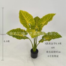 �羳����Gֲ�����辰�S�����S�������~��ɢβ��Ҭ�Ә��ؙ�������