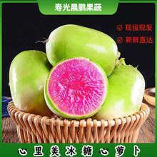 冰糖红心水果萝卜生吃甜脆新鲜现拔水果型心里美萝卜批发寿光蔬菜