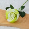 Light green (large velvet)