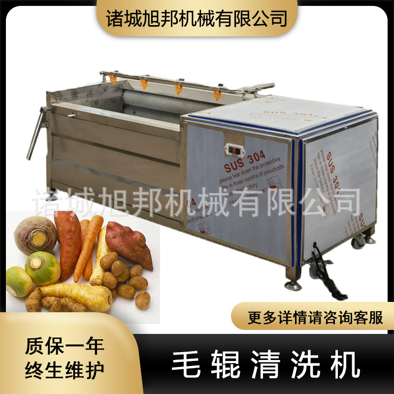 毛辊清洗机403.png
