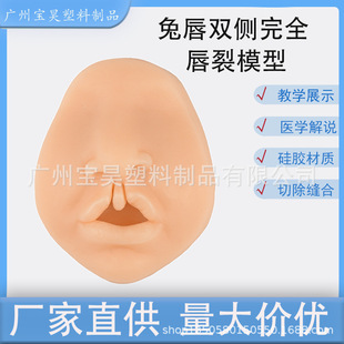 Teaching Model Rabbit Lip Model Medical Student Surgical Oral Cavity Bilateral Complete Labial Slit Suture Practice Model